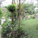 Sobrado à venda com 3 quartos em Tremembé, São Paulo, SP