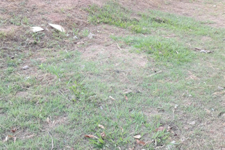 Terreno à venda em Jardim Ypê, Paulínia, SP