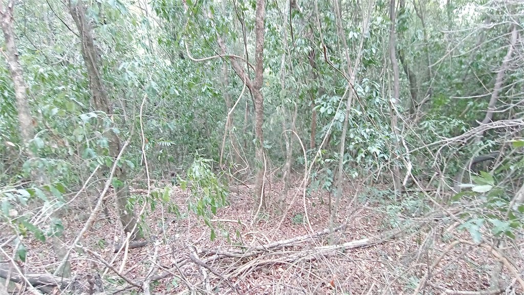 Terreno à venda em Chácaras Alpina, Valinhos, SP