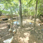 Casa para Locação no Condomínio Jardim América em Vinhedo/SP