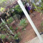 Terreno com 586,00 m² de área total na Vila Costa do Sol.