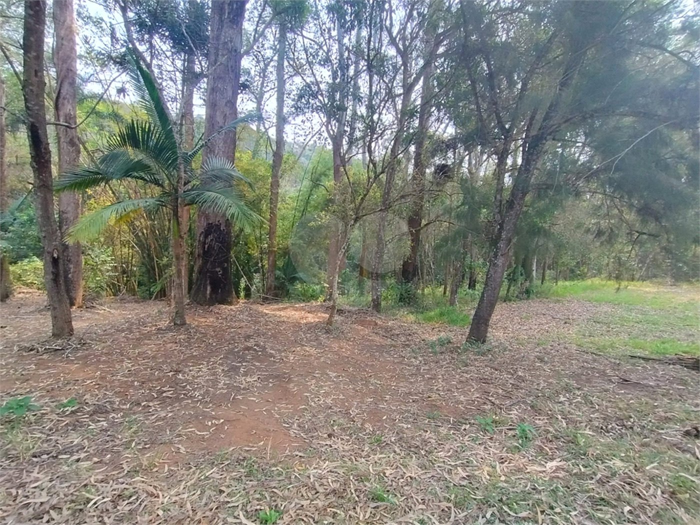 Sítio à venda, 504m² - Ponte Alta Atibaia 48mil² Ref: 1013670