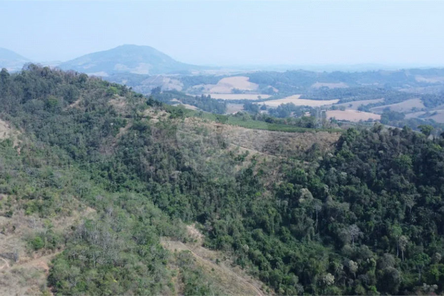 FAZENDA FORTALEZA, Caldas - MG