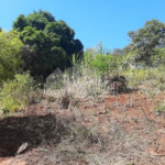 Sitio São João - Km 258