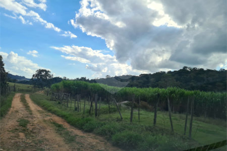 VENDA SÍTIO 48 hectares com estruura para granja, hidroponia e gado