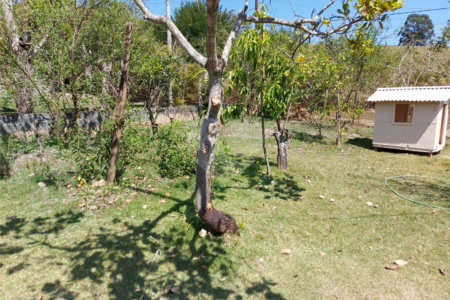 Chácara à venda com 4 quartos em Área Rural de Louveira, Louveira, SP