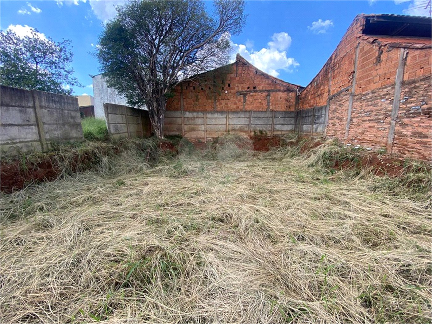 Terreno na Avenida São Carlos