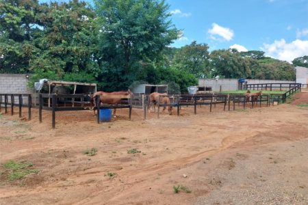 Terreno à Venda – Parque das Bandeiras I – Indaiatuba/SP.