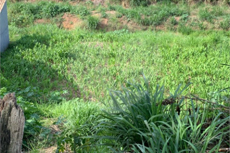 Terreno de 1.150m² no Jardim Gardênia Ideal para Casa de Campo em Atibaia