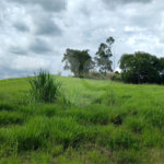 GLEBAS RURAIS EM PIRACAIA A PARTIR 20.000 M², EXCELENTE PARA CHÁCARAS E FAZENDINHAS