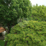 Apartamento á venda - Jabaquara