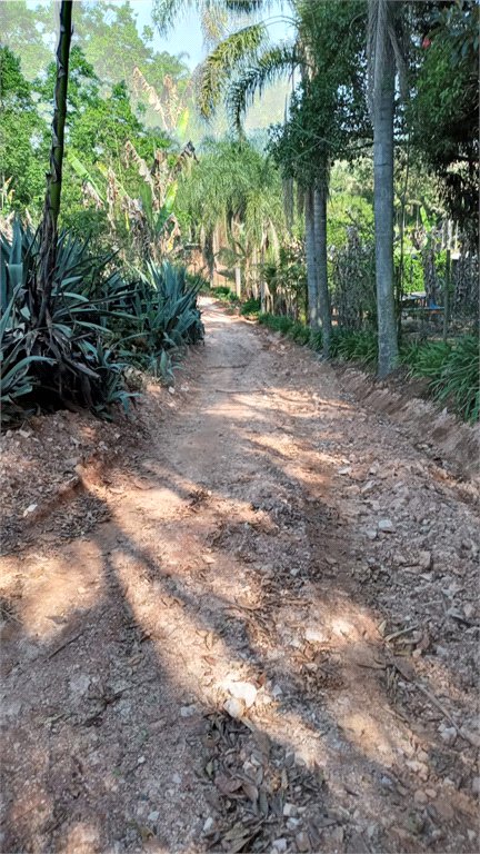 Ribeirão Grande - Bairro ferreira dos Matos - Sítio de 30.000 metros - R$ 600.000,00