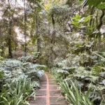 Terreno à venda no Condomínio Jardim Villa Sapezal, em Indaiatuba (Chácara Alvorada) — R$ 580.000,00 - Terreno com 360m² de área total (12x30), o terreno é plano e está localizado na entrada do condominio,O Jardim Villa Sapezal conta com infraestrutura completa, ruas largas e pavimentadas, portaria
