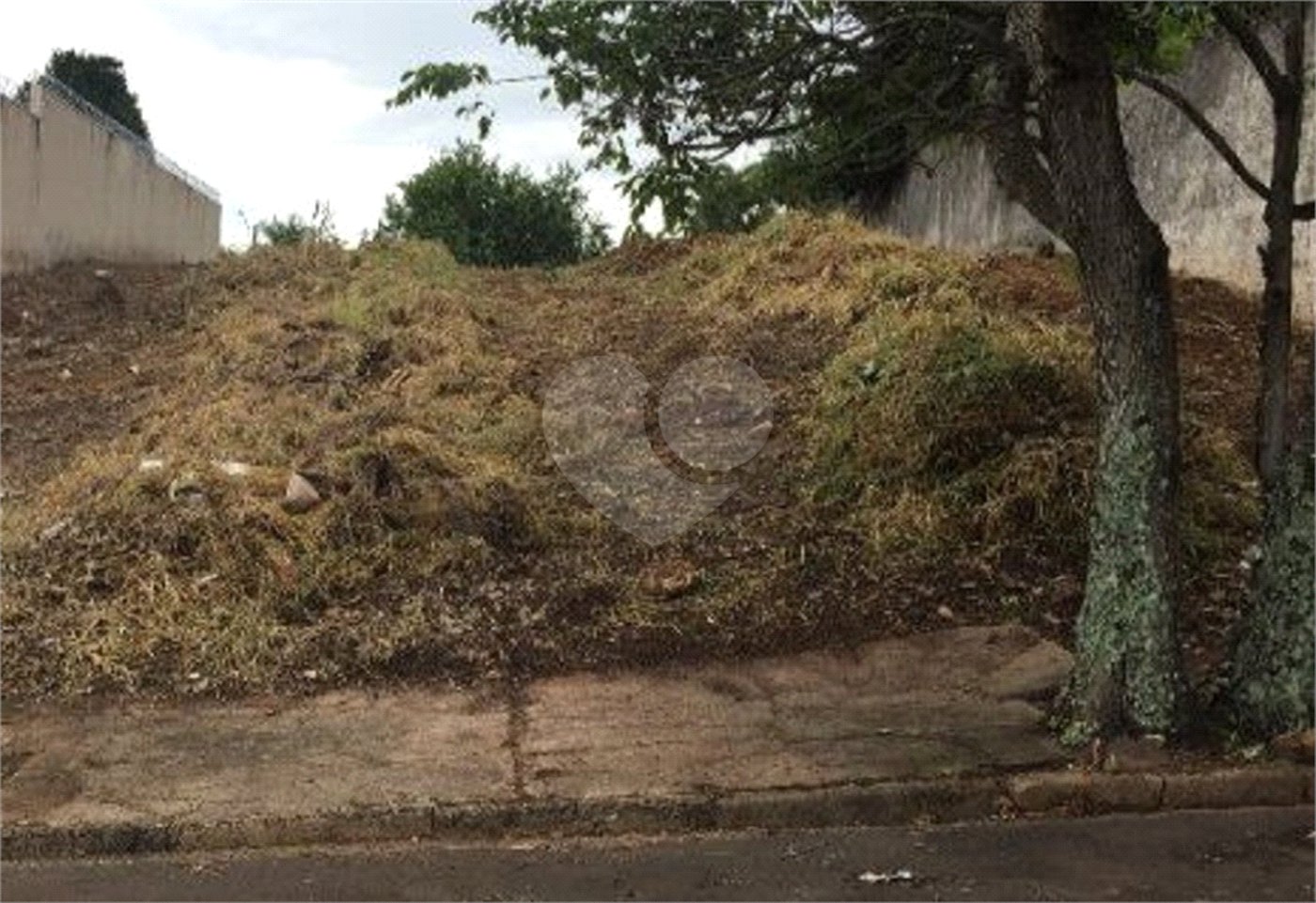 Terreno com 515,00 m² .