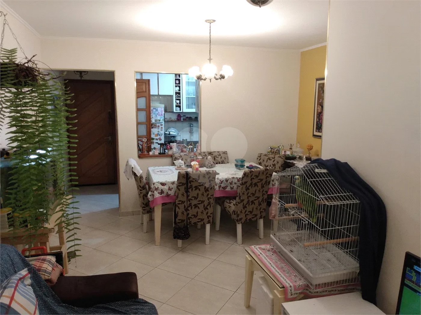 Apartamento 3 dormitórios na Mooca