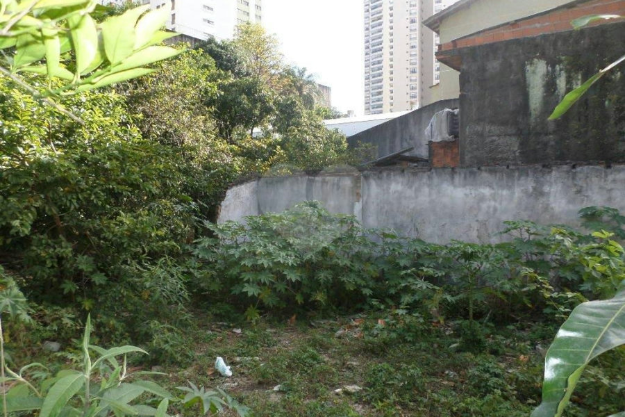 Terreno à venda ou para alugar em Água Fria, São Paulo, SP