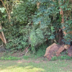 Terreno à venda no condomínio Associação Reserva das Hortênsias, Mairiporã - SP