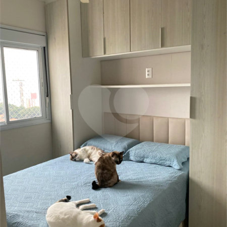 Apartamento à venda com 2 quartos em Vila Gustavo, São Paulo, SP