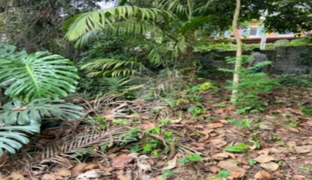 Terreno à venda em Jardim Leonor, São Paulo, SP