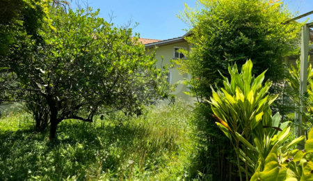 Terreno à venda com 1 quarto em Campo Grande, São Paulo, SP