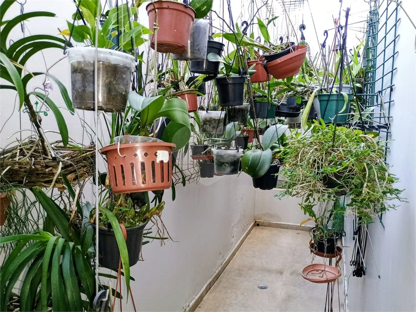 Sobrado à venda com 3 quartos, sendo 1 suíte, em Santana, São Paulo, SP
