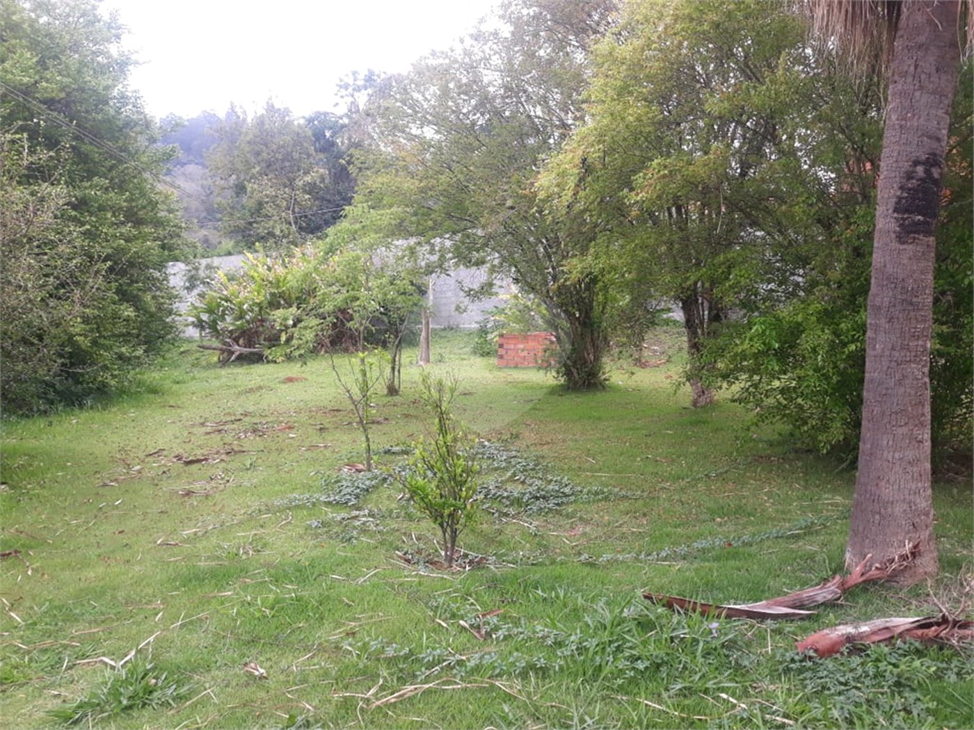 Terreno para alugar em Jardim Rene, São Roque, SP