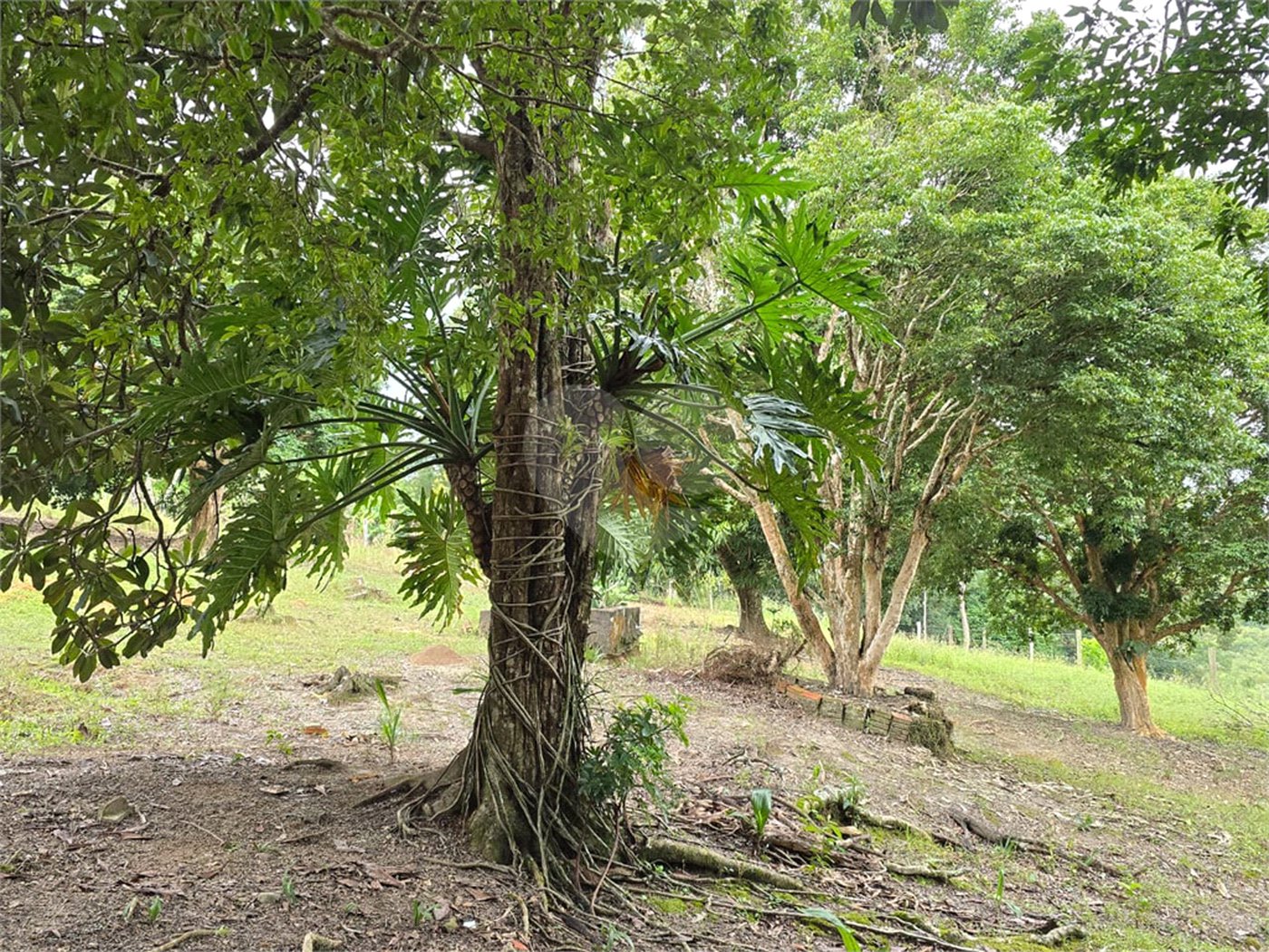 Sítio à venda com 6 quartos, sendo 5 suítes, em Área Rural de Itapetininga, Itapetininga, SP