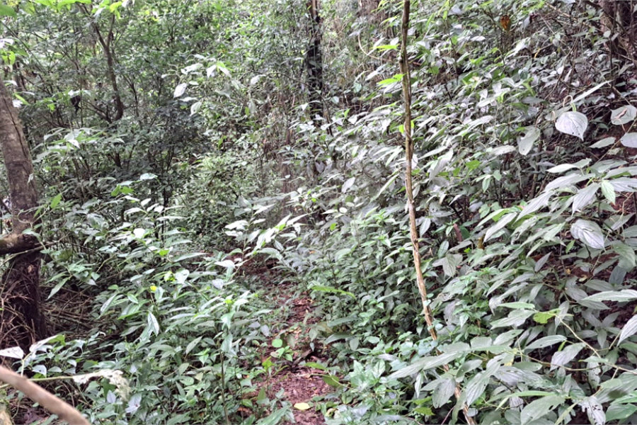 Terreno à venda no condomínio Campos de Mairiporã Gleba 1, Mairiporã - SP