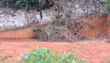 Terreno à venda em Vila Albertina, São Paulo, SP