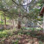 Casa à venda com 1 quarto no condomínio Chácara Flora, São Paulo - SP
