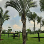 Rancho com 12 dormitórios à venda, 63000 m² por R$ 7.500.000,00 - Condomínio Haras Paineiras - Salto/SP