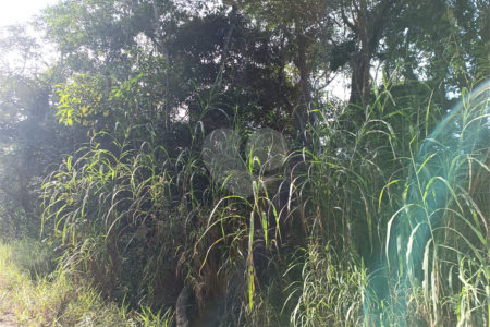 Terreno à venda em Caete (mailasqui), São Roque, SP