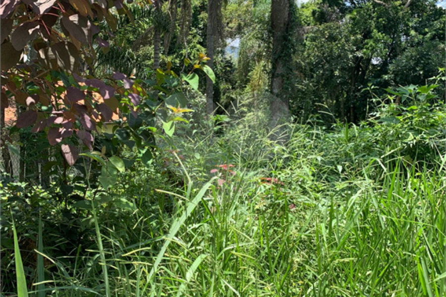 Terreno à venda em Roseira, Mairiporã, SP