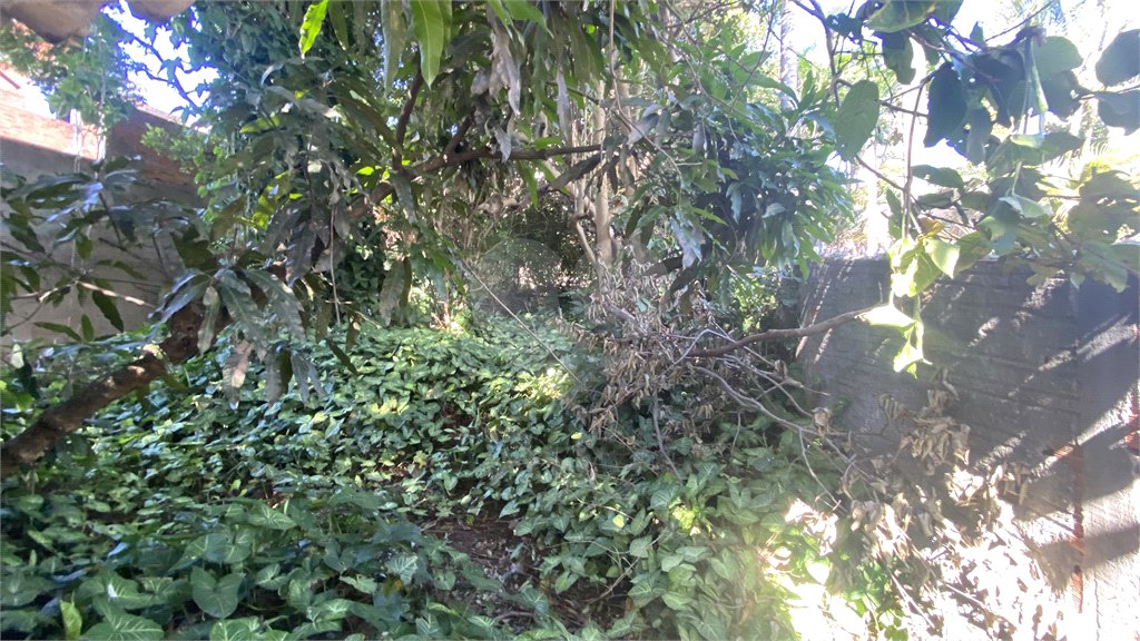 Terreno à venda em Vila Aurora (zona Norte), São Paulo, SP