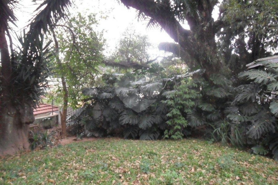 Sobrado à venda com 3 quartos, sendo 1 suíte, em Vila Albertina, São Paulo, SP