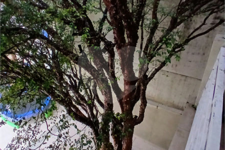 Sobrado à venda com 3 suítes em Vila Mariza Mazzei, São Paulo, SP