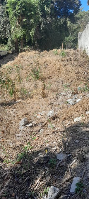 Terreno à venda em Jardim Maristela, Atibaia, SP