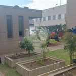 Apartamento à venda com 2 quartos em Vila Guilherme, São Paulo, SP