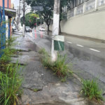 Terreno à venda com 3 quartos em Santana, São Paulo, SP