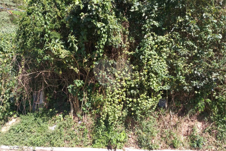 Terreno à venda em Tremembé, São Paulo, SP