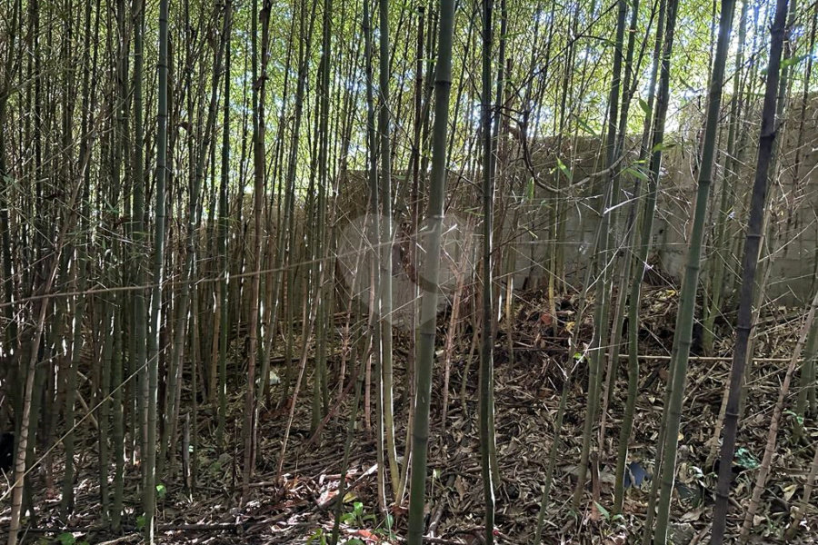 Terreno à venda em Serra da Cantareira, Mairiporã, SP