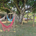 Casa Térrea à venda ou para alugar com 4 suítes em Jardim Paulista, Atibaia, SP