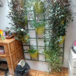 Casa à venda com 3 quartos, sendo 1 suíte, em Perdizes, São Paulo, SP