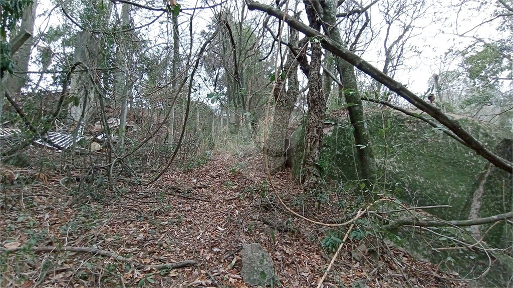 Terreno à venda em Chácaras Alpina, Valinhos, SP