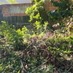 Terreno à venda em Vila Rosa, Itapetininga, SP