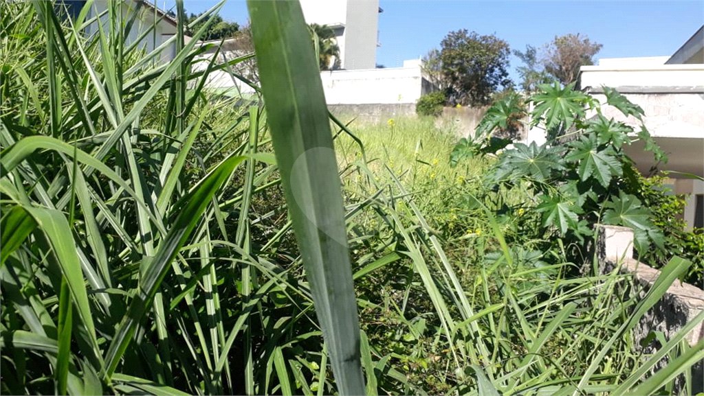 Terreno à venda em Jardim São Bento, São Paulo, SP