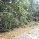 Condomínio à venda em Caraguatá, Mairiporã, SP