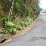 Terreno à venda em Serra da Cantareira, Mairiporã, SP
