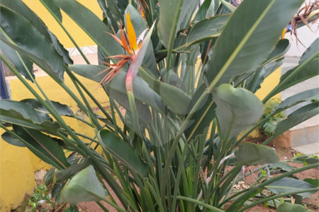 Casa térrea para venda ou locação no bairro Vila Costa do Sol.