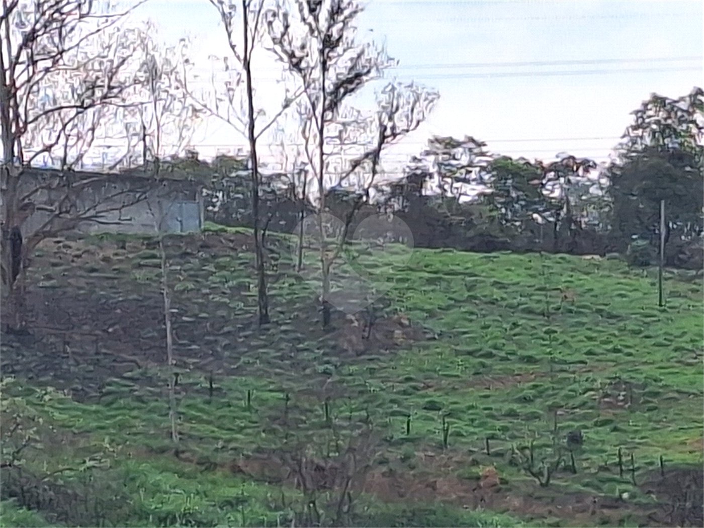 Área de Terra à venda com 1 suíte em Cocais, Itatiba, SP
